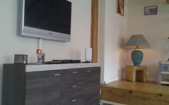 Smeralova Apartments - photo 5