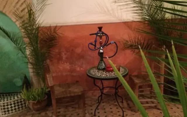 Riad Slima - photo 5