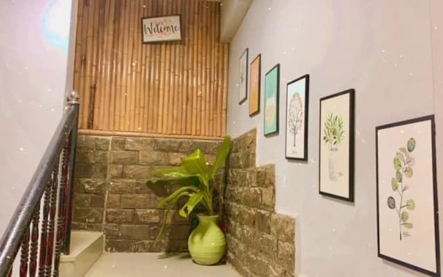 Te House - photo 3