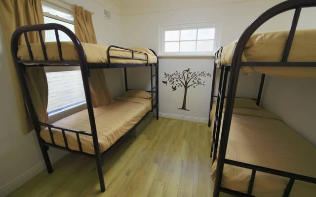 Cozy M Hostel - photo 4
