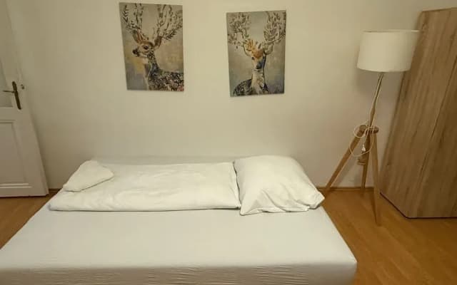 Budget 1BR Apt Close to Westbahnhof - photo 3