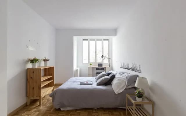 Luxury Flat Plaza Mayor - photo 3