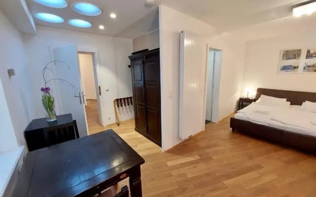 Vienna Studio Apartments - photo 5