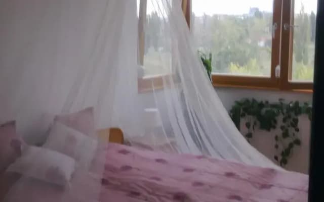 Apartment Danube - photo 4