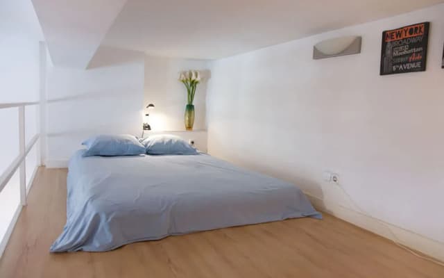 Apartamentos Puerta del Sol-Lofts Calle Ribera de Curtidores - photo 3