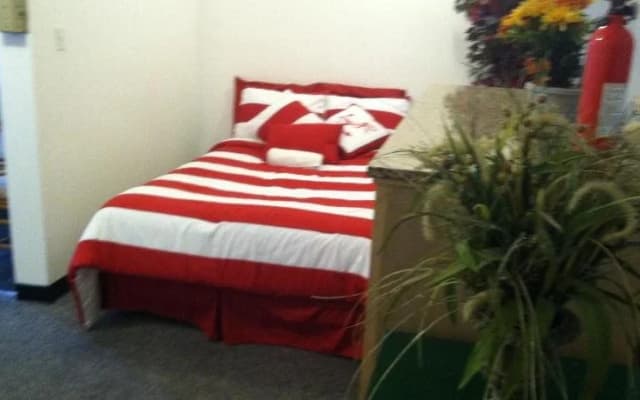 Venice Beach Hostel - photo 5