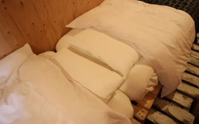 Screamer 2 - photo 4