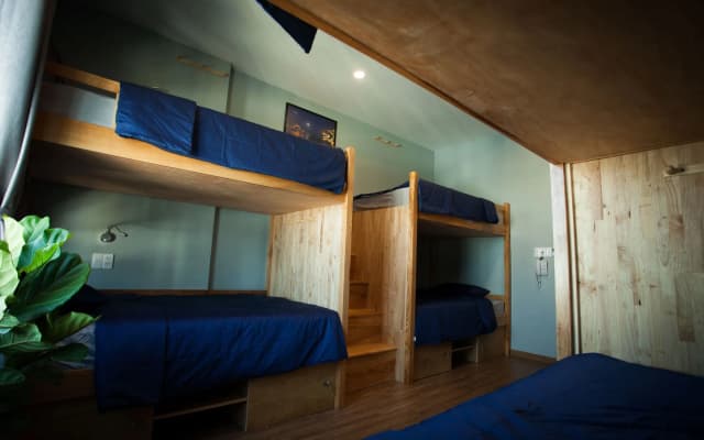 Karola Hostel - photo 3