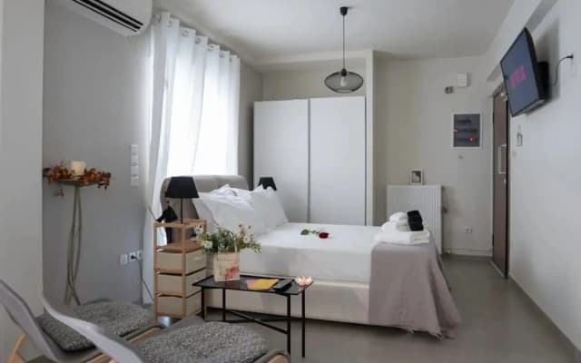 Central Spacious Athenian Penthouse Getaway - photo 5
