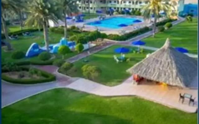 Flamingo Beach Hotel - photo 3