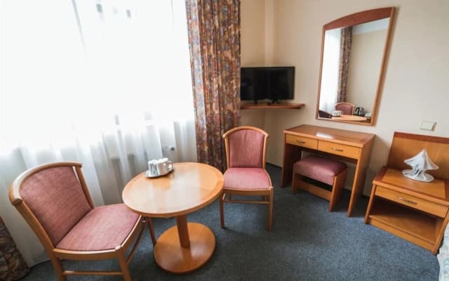 Hotel Dalimil - photo 5