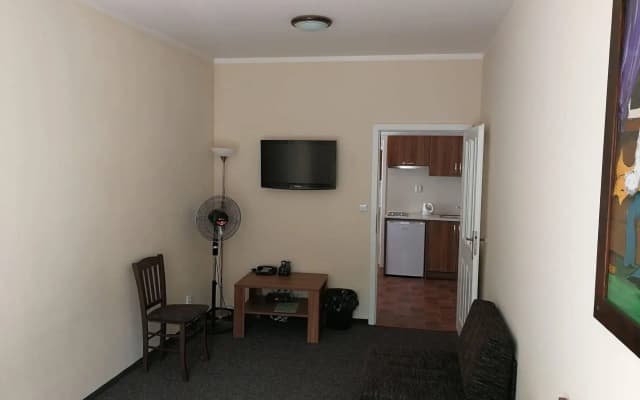 Apartments U Svejku - photo 5