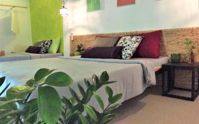 Domino Homestay - photo 3