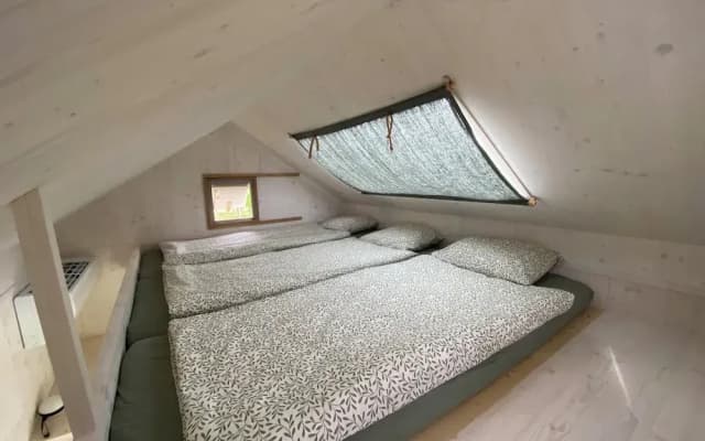 Camp Dzban - photo 5