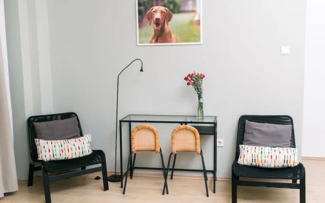 Dfive Apartments - Vizsla - photo 3