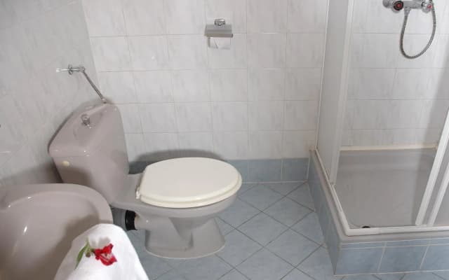 Hotel Fortuna - photo 4