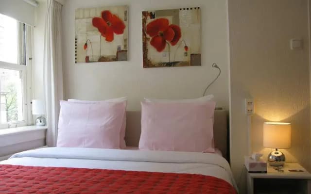 Sir Nico Guest House - photo 2