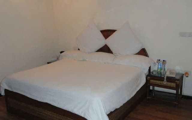 Hotel Rani Castle - photo 3
