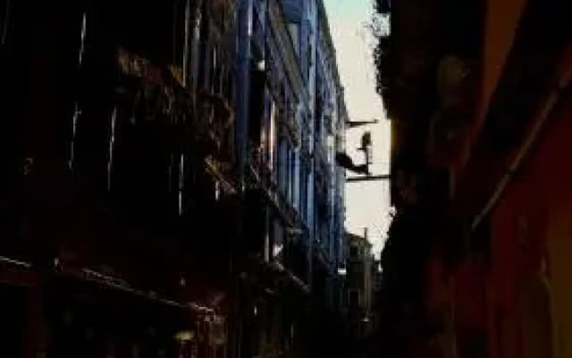 BB Venice - photo 5