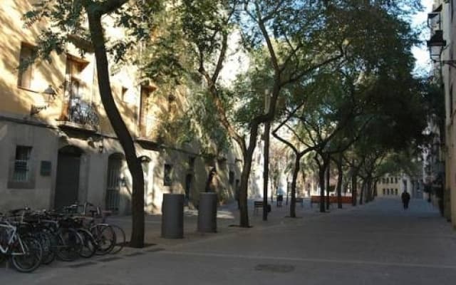 Born Picasso Apartamentos - photo 2