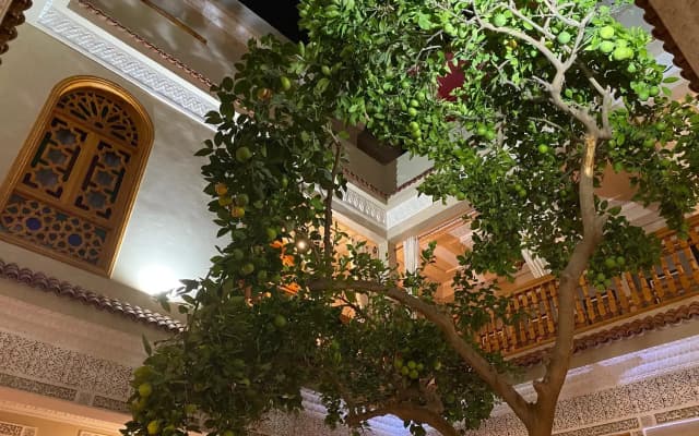 Riad Shajara - photo 3
