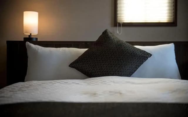 Hotel ZIZI Kyoto Gion - photo 2