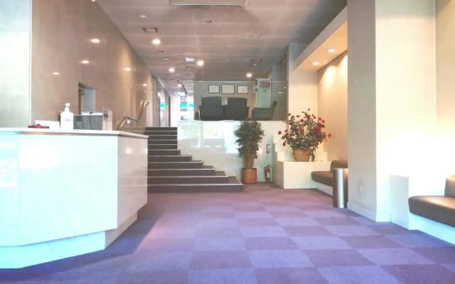 Hotel Satoh Tokyo - photo 2