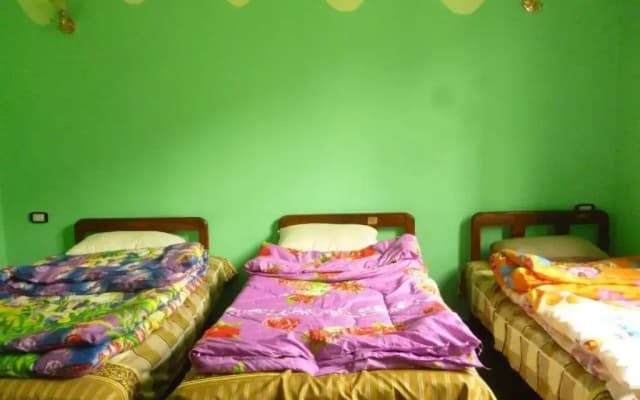Safary Hotel - photo 2