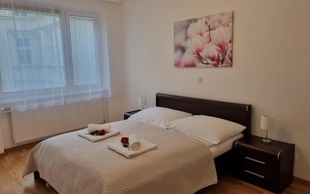 Elegant Vienna Apartment - photo 2