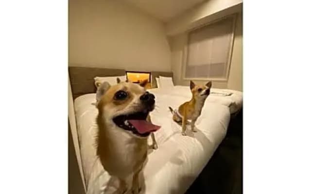 ICI HOTEL Asakusabashi - Vacation STAY 71085v - photo 5