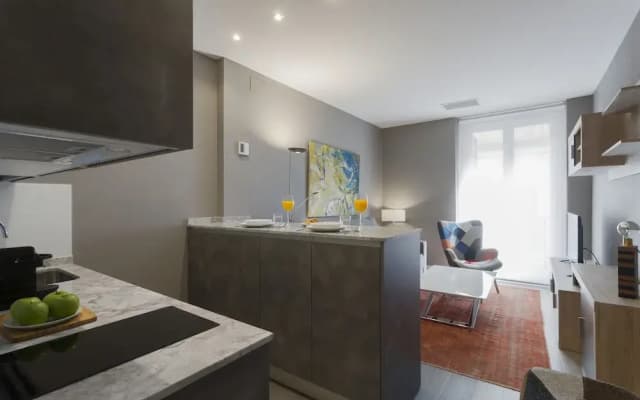 Dobo Rooms Palacio Apartments - photo 5