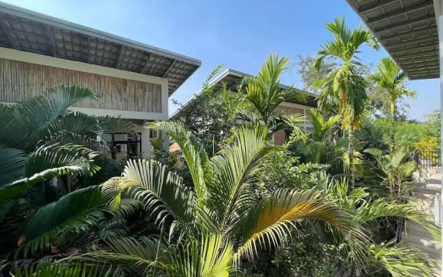 Treetop Bungalows - photo 3