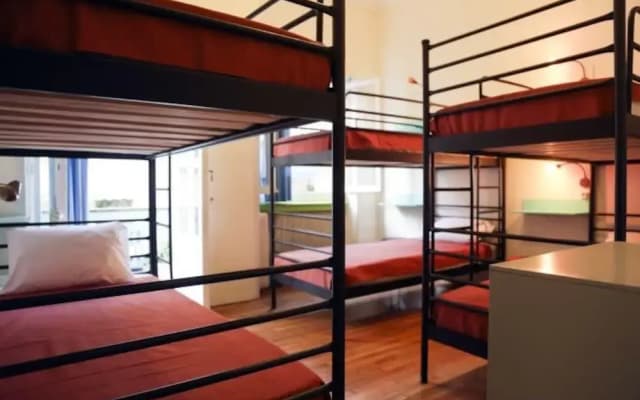 Chameleon Youth Hostel - Hostel - photo 3