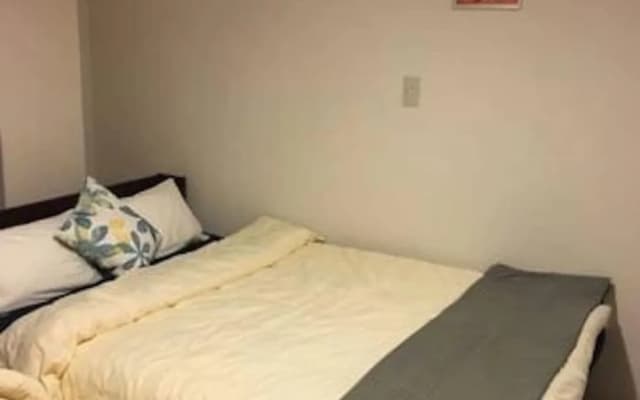 Haneda Lex Apartment - photo 3