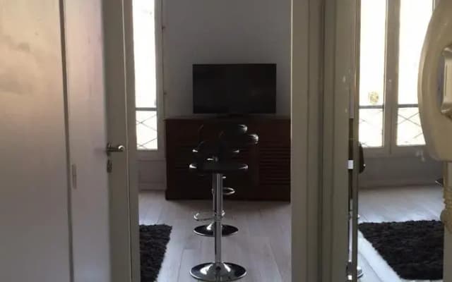 3-Bedroom Apartment Quai Des Grands Augustins - photo 4