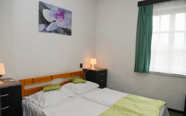 Budai Hotel - photo 4