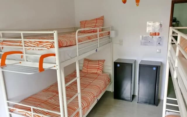 Lisbon Cosy Hostel - photo 3