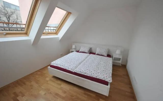 Debo Apartments Lackierergasse - contactless check in - photo 3