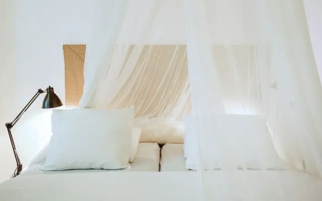B&B Luxurious Bella - photo 3