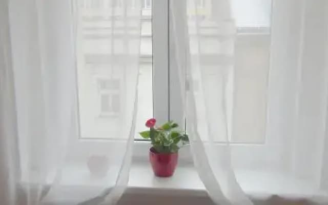 Best Residence Palmovka - photo 5