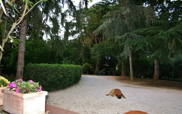 Green Oasis B&B - photo 2