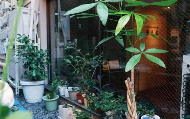Hananoie by SunRiseStay | 10 min to Ikebukuro | 2 min Walk to Station | Great Value | Elevator - photo 2
