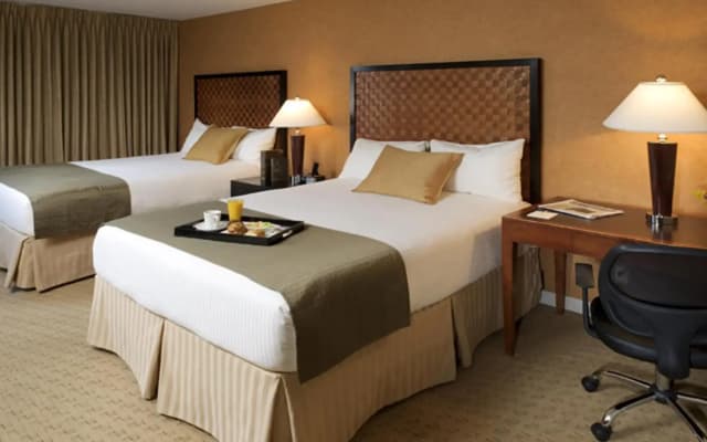 Skyline Hotel - photo 5