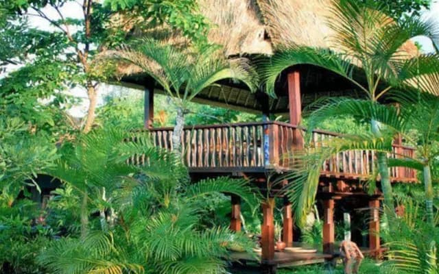 Bali Aga Villa - photo 3