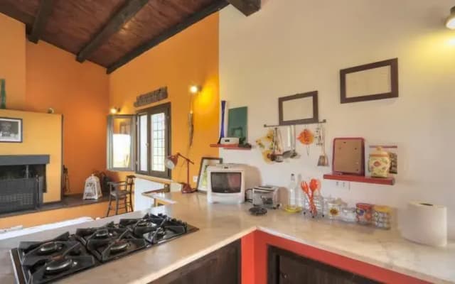 Tenuta Donna Olimpia - photo 3