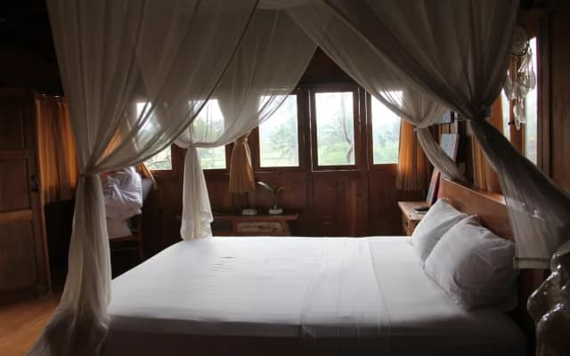 Ogek Home Stay - photo 4