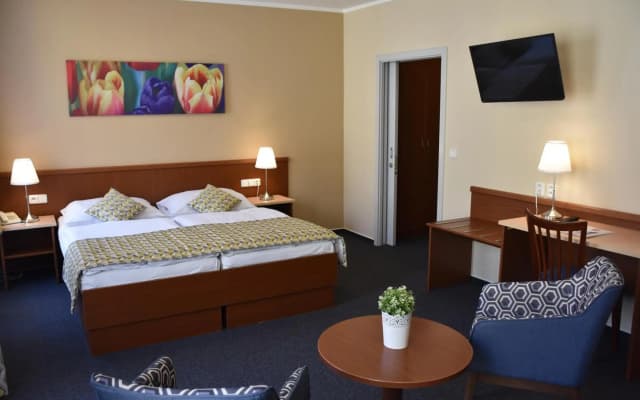 Aparthotel Austria Suites - photo 2