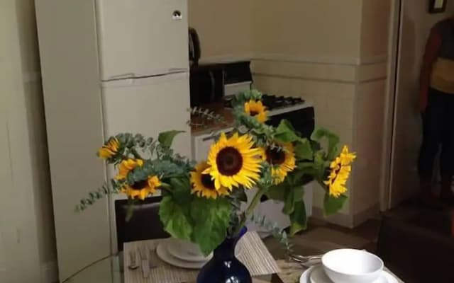 Charming 2 bdrm Dolores Heights Apt - photo 5