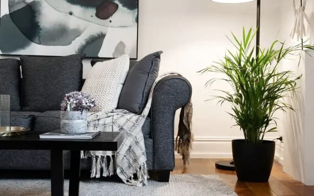 Perfect Laneway Terrace Surry Hills - photo 5