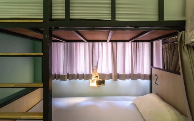 Bunny Burrow Hostel - photo 3